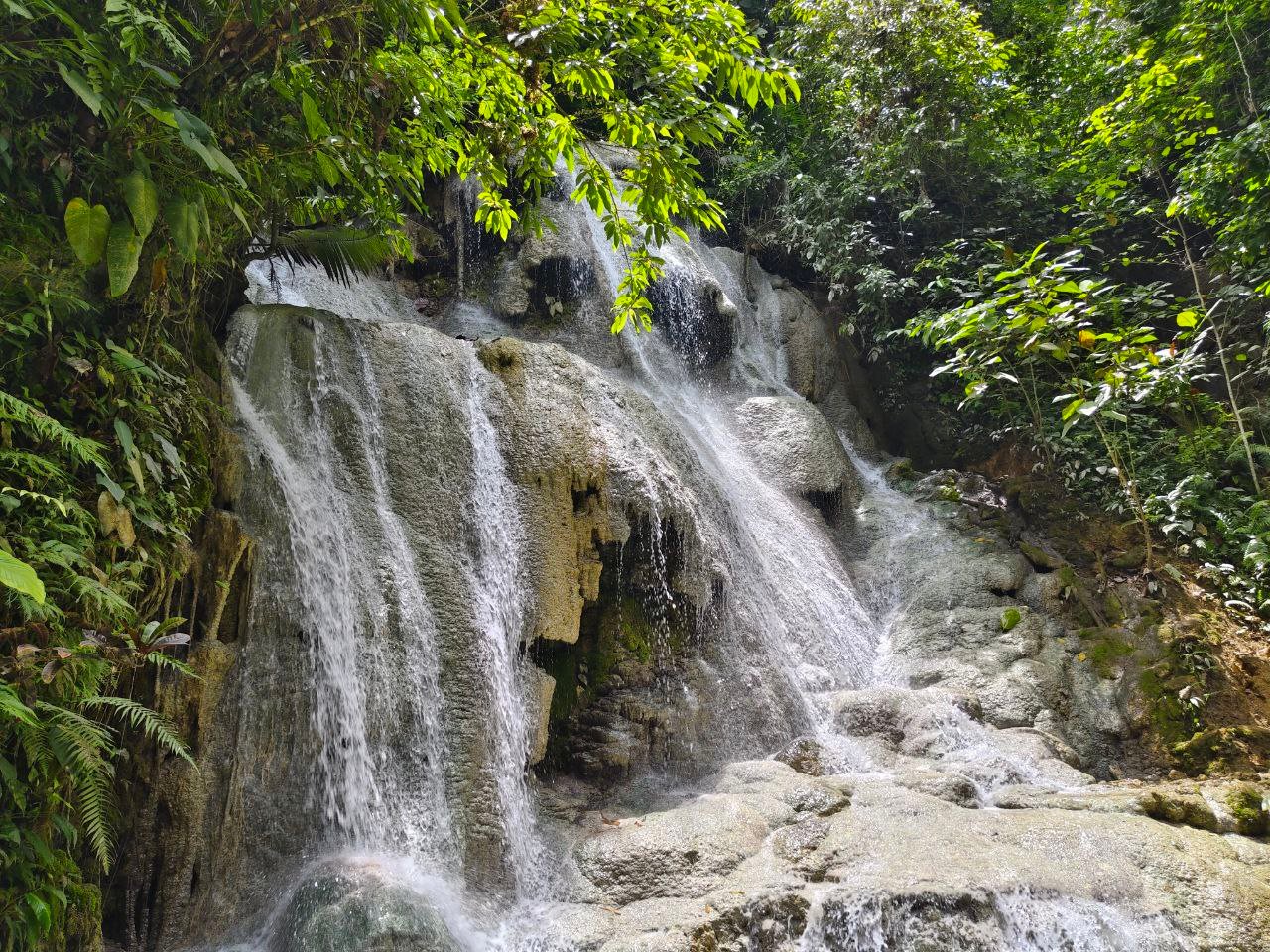 Waig Falls thick vegetation