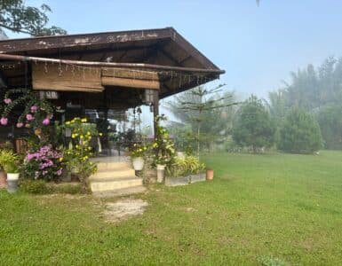 adams farm in marilog