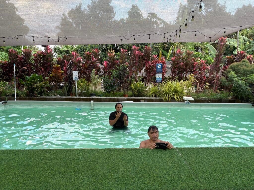 Esoj Sky Garden 4.5 feet deep swimming pool with view of the surrounding farm