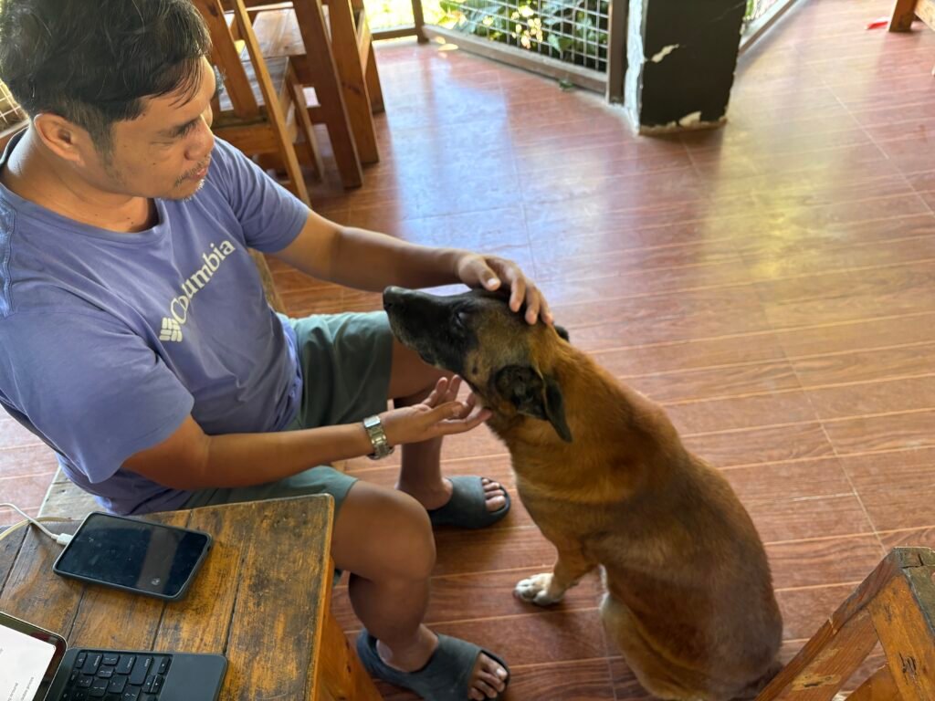 Zeus the friendly Belgian Malinois at Esoj Sky Garden greeting guests at the entrance