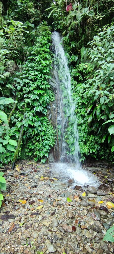 Arabaton falls spring water clean potable in Mawab Davao de Oro