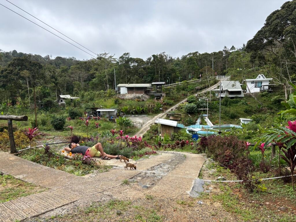 franklin's marilog davao overlooking area of road path, pool and entrance