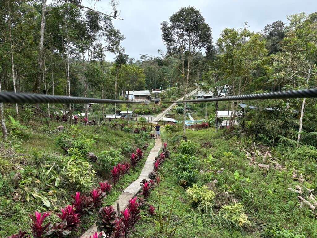 franklin's buda marilog davao zip line and road landscape