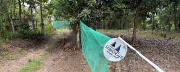 franco elys entrance toril bayabas davao city