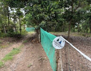 franco elys entrance toril bayabas davao city