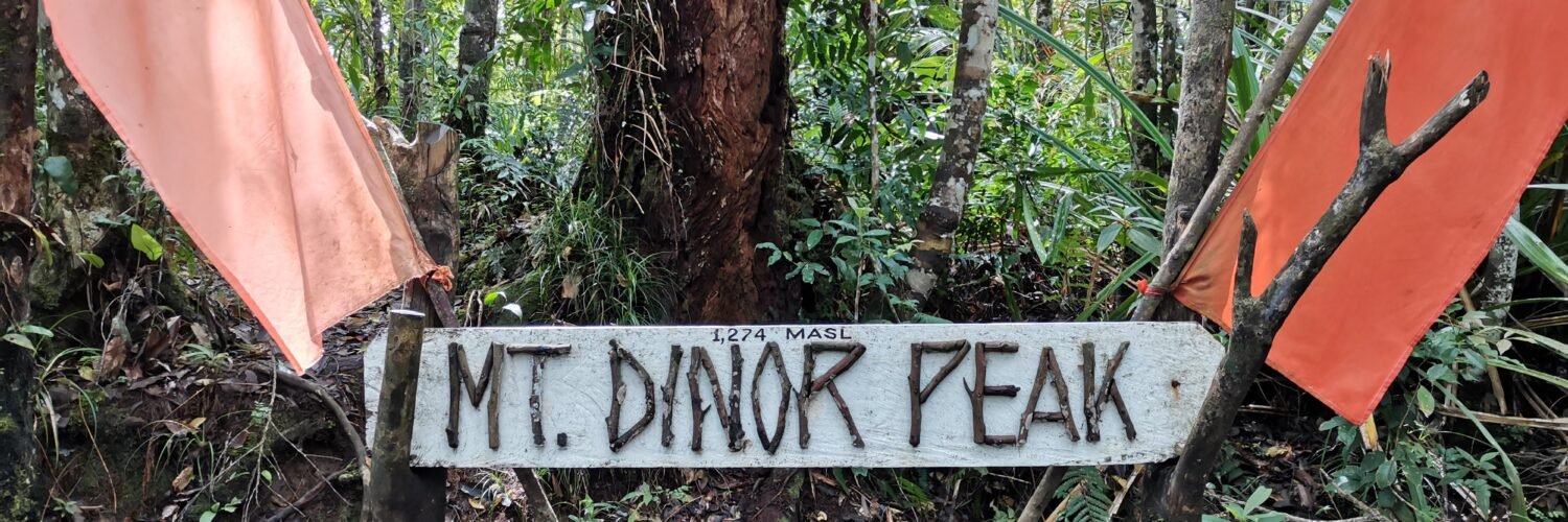 A detailed photograph of the rustic wooden sign marking Mt. Dinor Peak at an elevation of 1,274 MASL. The handcrafted sign, with attached twigs forming the letters, is flanked by two faded orange fabric flags and set within a dense, lush tropical rainforest in Sta. Cruz, Davao del Sur, Mindanao.