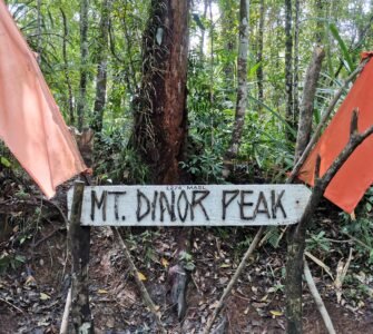 A detailed photograph of the rustic wooden sign marking Mt. Dinor Peak at an elevation of 1,274 MASL. The handcrafted sign, with attached twigs forming the letters, is flanked by two faded orange fabric flags and set within a dense, lush tropical rainforest in Sta. Cruz, Davao del Sur, Mindanao.