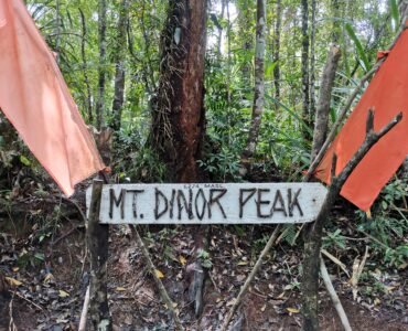 A detailed photograph of the rustic wooden sign marking Mt. Dinor Peak at an elevation of 1,274 MASL. The handcrafted sign, with attached twigs forming the letters, is flanked by two faded orange fabric flags and set within a dense, lush tropical rainforest in Sta. Cruz, Davao del Sur, Mindanao.