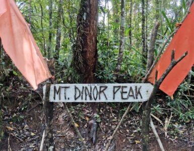A detailed photograph of the rustic wooden sign marking Mt. Dinor Peak at an elevation of 1,274 MASL. The handcrafted sign, with attached twigs forming the letters, is flanked by two faded orange fabric flags and set within a dense, lush tropical rainforest in Sta. Cruz, Davao del Sur, Mindanao.