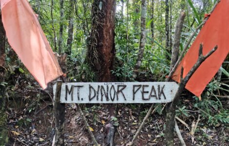A detailed photograph of the rustic wooden sign marking Mt. Dinor Peak at an elevation of 1,274 MASL. The handcrafted sign, with attached twigs forming the letters, is flanked by two faded orange fabric flags and set within a dense, lush tropical rainforest in Sta. Cruz, Davao del Sur, Mindanao.