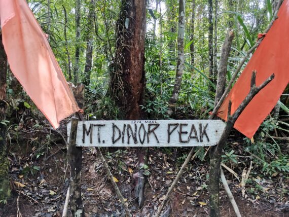 A detailed photograph of the rustic wooden sign marking Mt. Dinor Peak at an elevation of 1,274 MASL. The handcrafted sign, with attached twigs forming the letters, is flanked by two faded orange fabric flags and set within a dense, lush tropical rainforest in Sta. Cruz, Davao del Sur, Mindanao.