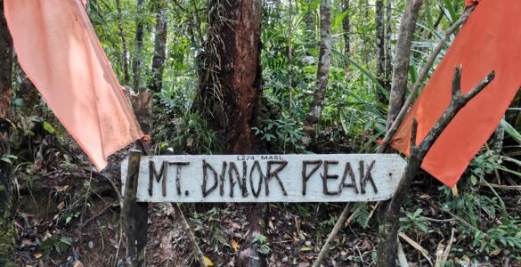 A detailed photograph of the rustic wooden sign marking Mt. Dinor Peak at an elevation of 1,274 MASL. The handcrafted sign, with attached twigs forming the letters, is flanked by two faded orange fabric flags and set within a dense, lush tropical rainforest in Sta. Cruz, Davao del Sur, Mindanao.