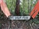 A detailed photograph of the rustic wooden sign marking Mt. Dinor Peak at an elevation of 1,274 MASL. The handcrafted sign, with attached twigs forming the letters, is flanked by two faded orange fabric flags and set within a dense, lush tropical rainforest in Sta. Cruz, Davao del Sur, Mindanao.