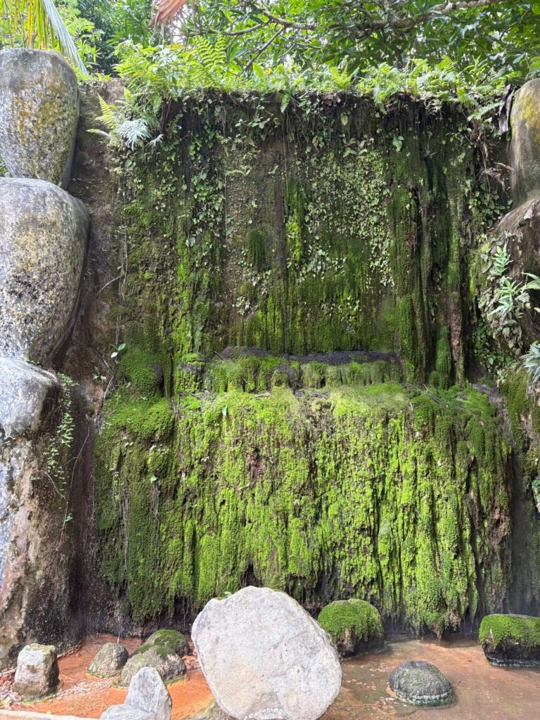 Toyozu Mountain Hot Spring Resort Nabunturan Davao de Oro mossy hot spring flow to pool. Visited by Manakaay.