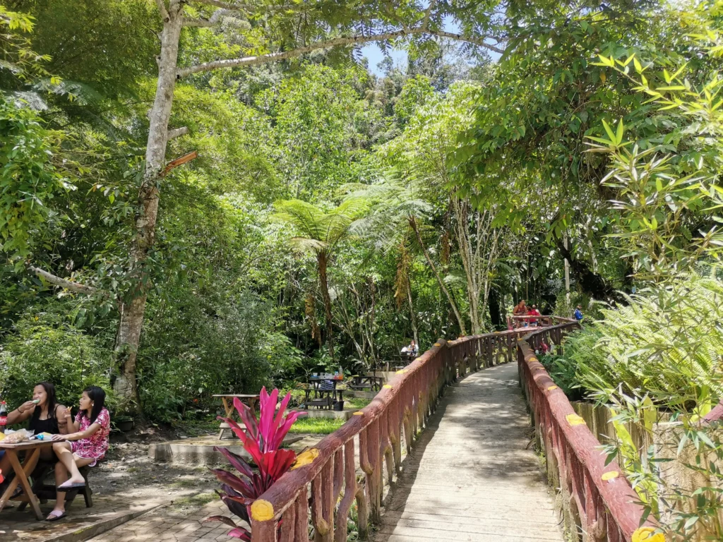 Tagbibinta Falls Maragusan Davao de Oro walkway going to the falls and water basin