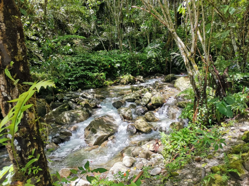 Tagbibinta Falls Maragusan Davao de Oro natural stream coming from the falls above