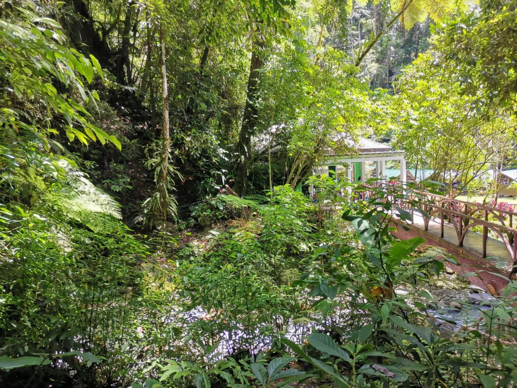 Tagbibinta Falls Maragusan Davao de Oro store, kiosks, and cottages surrounded by nature.