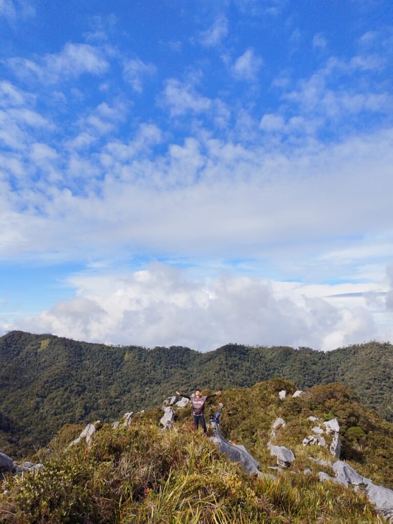 Mt Kampalili Maragusan Davao de Oro open wide peak surrounded by pygmy trees.