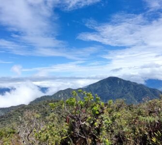Mt Kalumotan Marugusan Davao de Oro view at the peak. Hike by Manakaay ug Bukid.