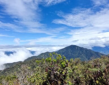 Mt Kalumotan Marugusan Davao de Oro view at the peak. Hike by Manakaay ug Bukid.