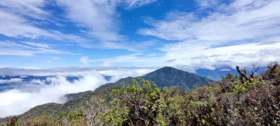 Mt Kalumotan Marugusan Davao de Oro view at the peak. Hike by Manakaay ug Bukid.