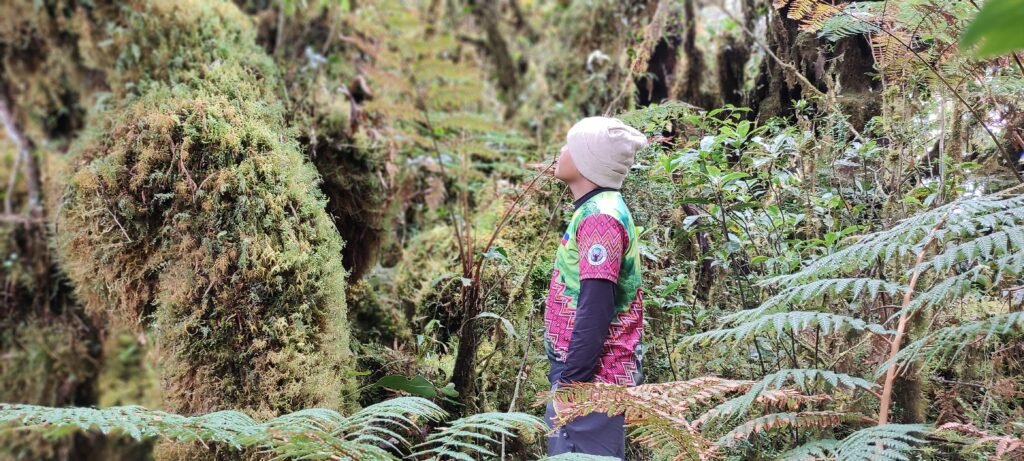 Mt Kalumotan in Maragusan Davao de Oro, a hiker in the dense mossy forest.