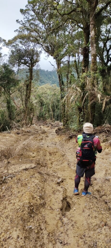 Mt Kalumotan Maragusan Davao de Oro trace of mass forest destruction to tne base of the hike to the mountain summit.