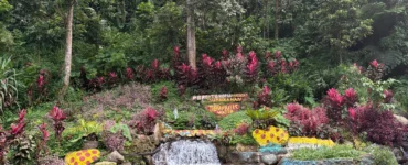 Sobsob Therapeutic Spring Resort Davao catching pool basin