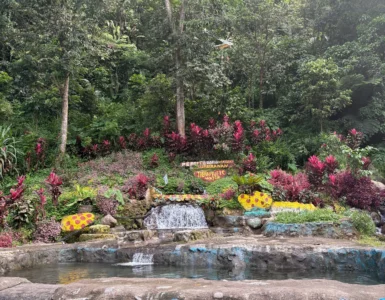 Sobsob Therapeutic Spring Resort Davao catching pool basin