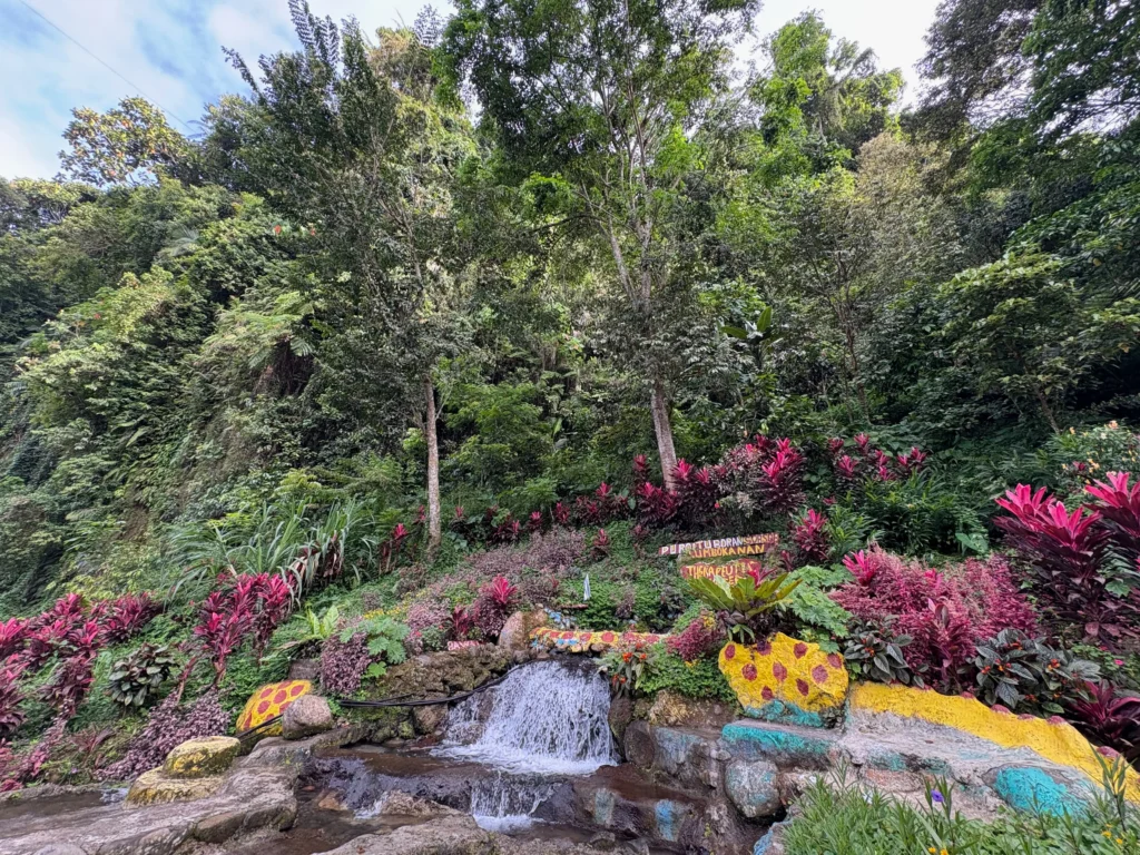 Sobsob Therapeutic Spring Resort Davao water gushing from the lush trees and mountain