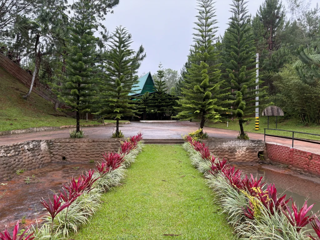 Reel Place Lorega multi purpose for events