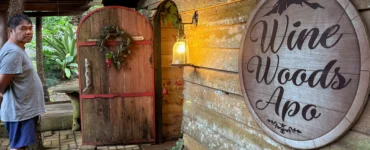 wine woods apo digos wine cellar entrance