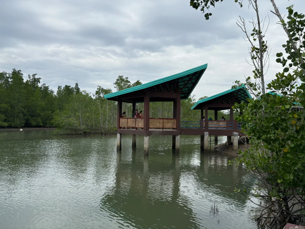 Panabo Mangrove Forest Park lounge and cottages