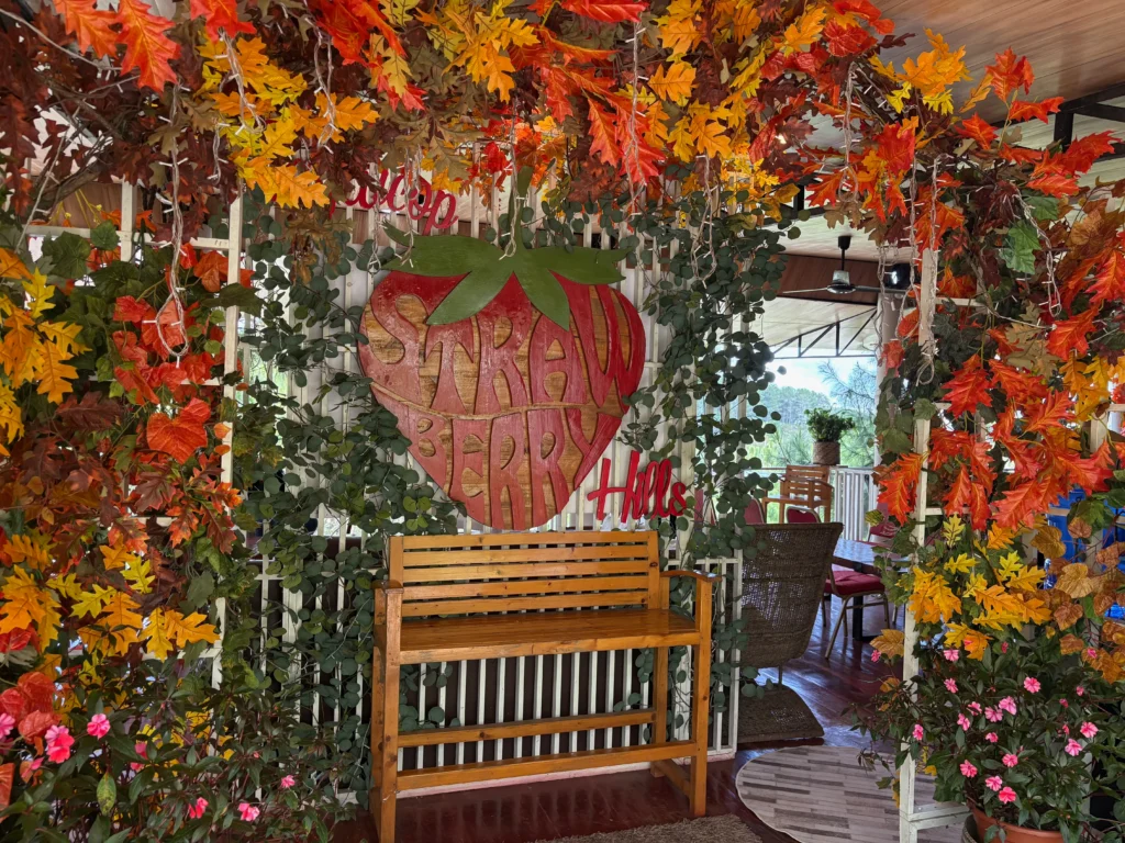 Taglucop strawberry hills kitaotao welcome signage to the resto
