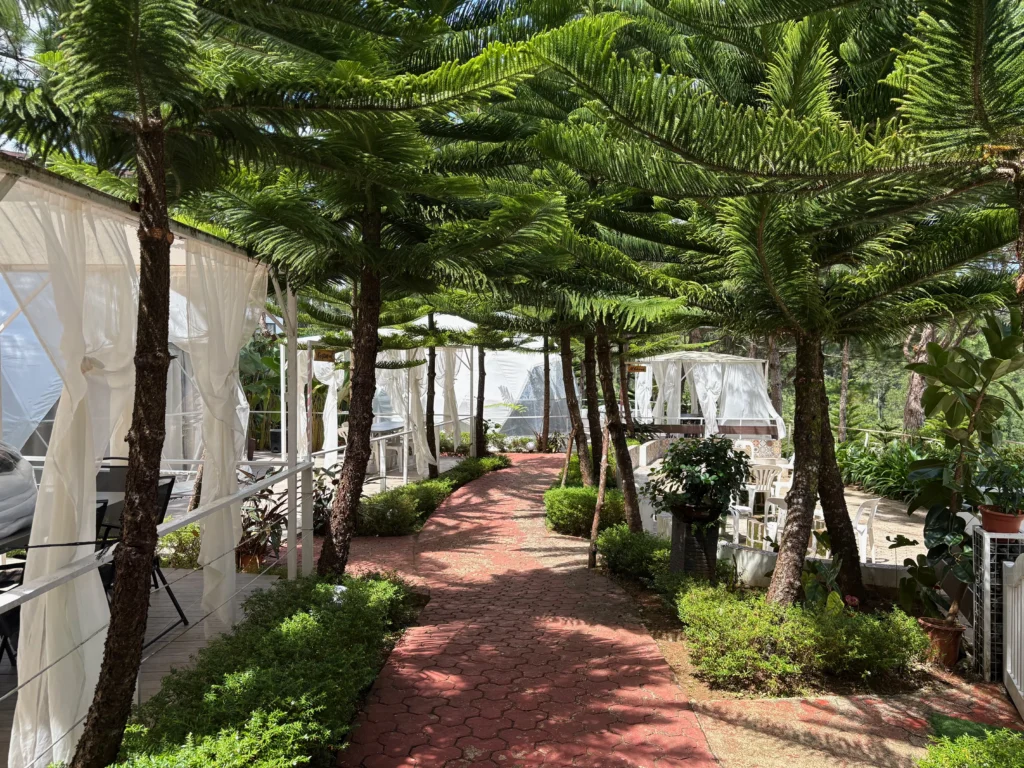 Taglucop strawberry hills kitaotao strawberry garden wide cottages