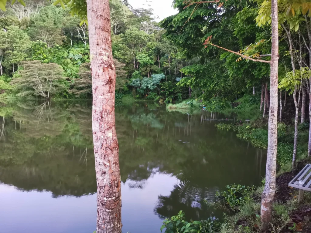 lake leonard mawab davao de oro lake near campsite