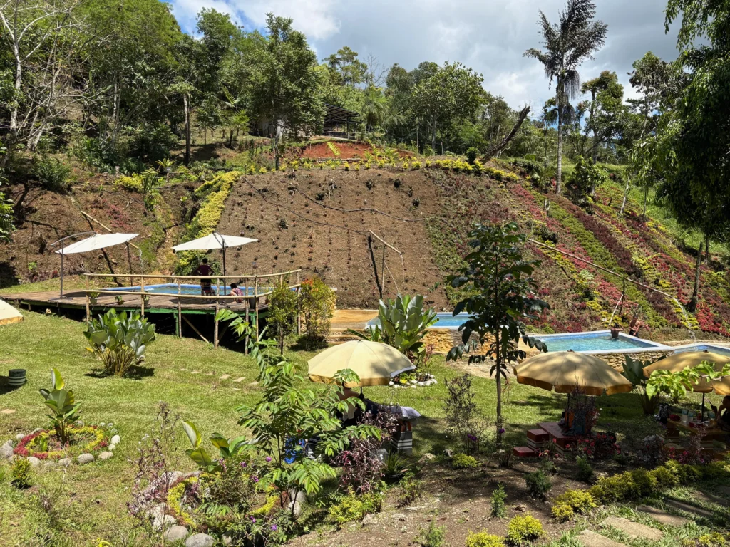 Inato Forest Camp marilog davao garden landscape and pool