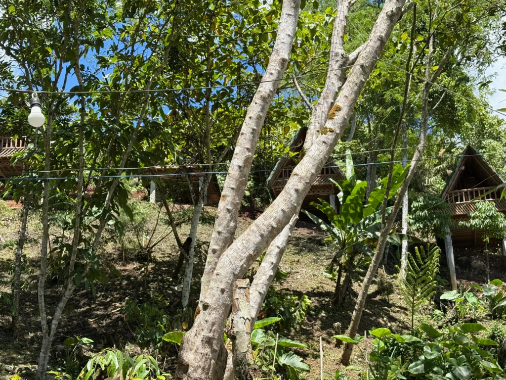 Inato Forest Camp marilog davao cottages for overnight guests