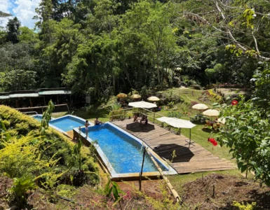Inato Forest Camp marilog davao layered pools cold water