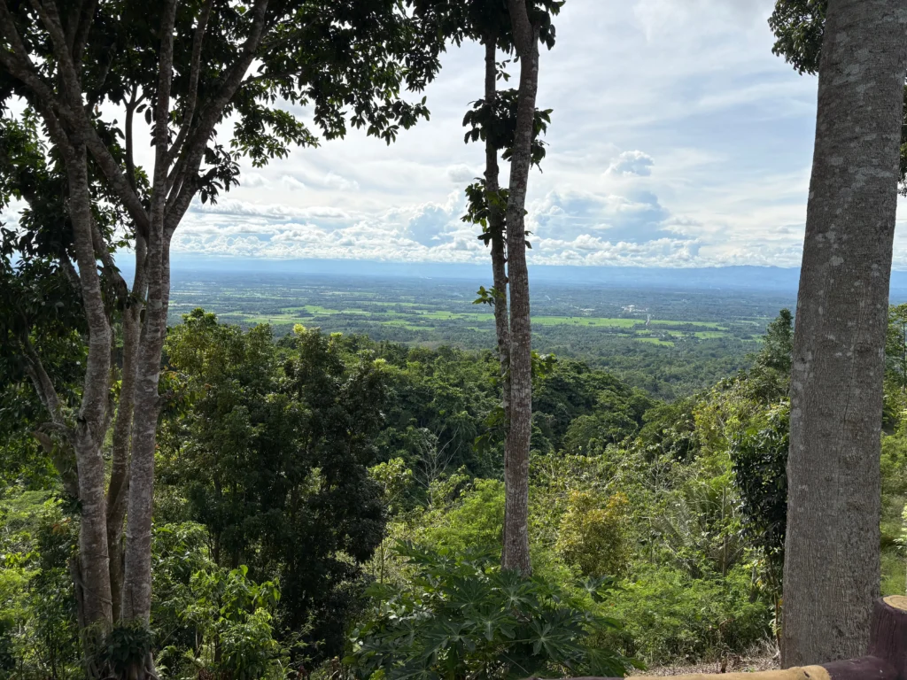 Camp Jovert Burlat New Corella overlooking view