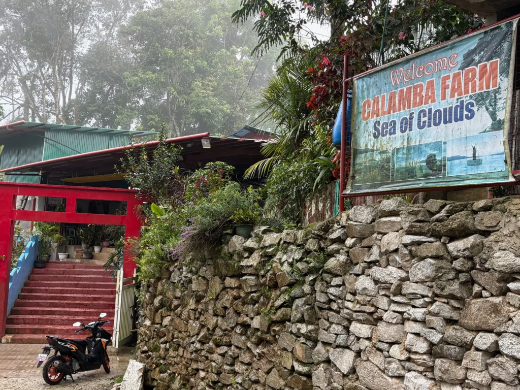calamba farm sea of clouds maragusan entrance like the japanese tori gate and parking area