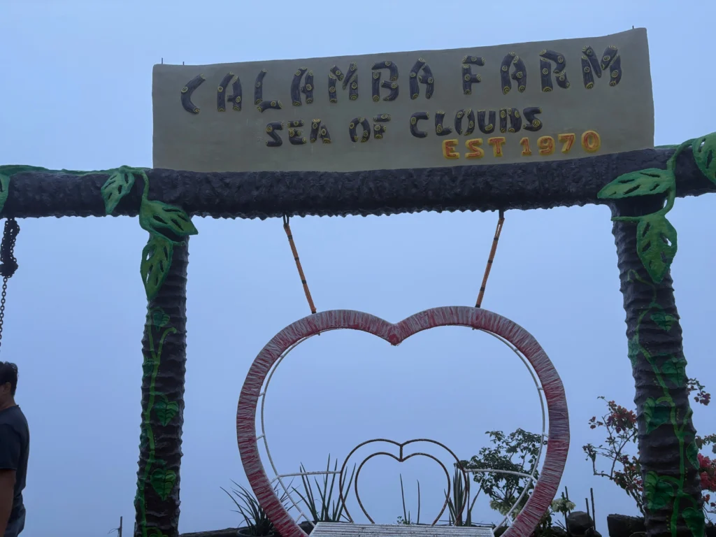 calamba farm sea of clouds maragusan since 1970 of the calamba family