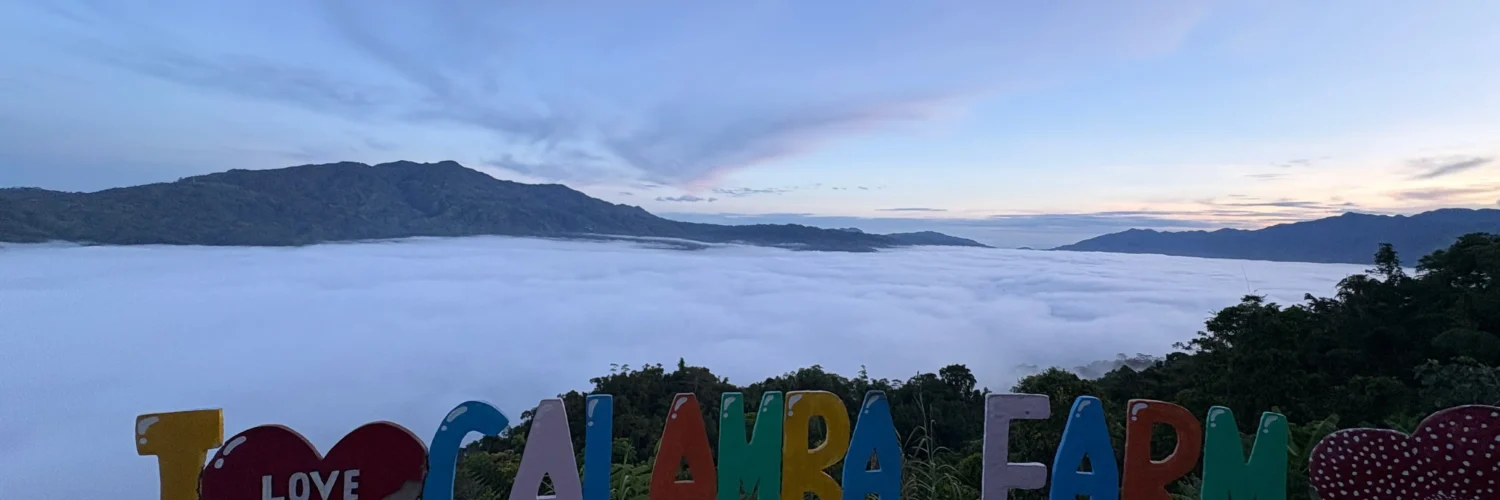 calamba farm sea of clouds maragusan iconic early morning sea of clouds
