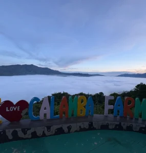 calamba farm sea of clouds maragusan iconic early morning sea of clouds