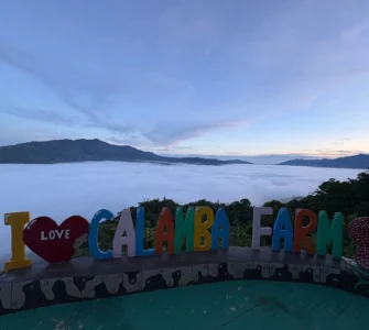 calamba farm sea of clouds maragusan iconic early morning sea of clouds