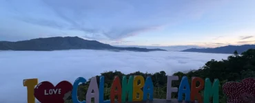 calamba farm sea of clouds maragusan iconic early morning sea of clouds