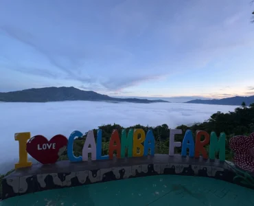 calamba farm sea of clouds maragusan iconic early morning sea of clouds