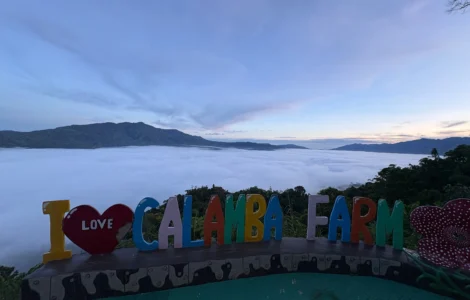 calamba farm sea of clouds maragusan iconic early morning sea of clouds