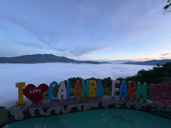 calamba farm sea of clouds maragusan iconic early morning sea of clouds