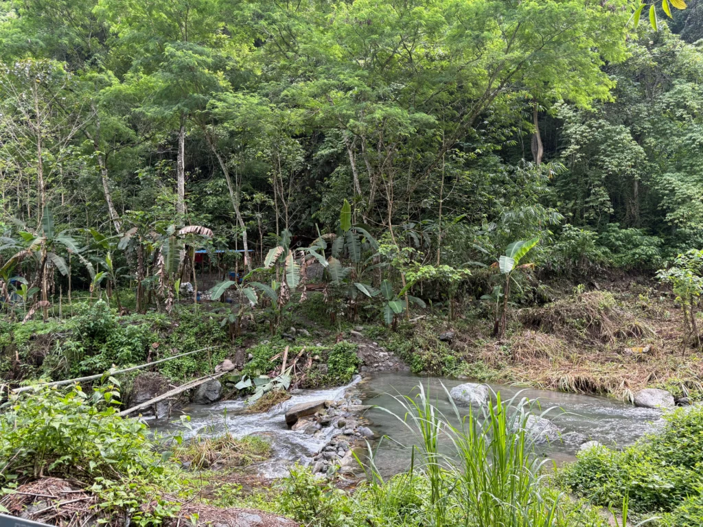 mt pinan-panan maragusan davao de oro swimming basin of locals